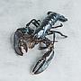 Homards